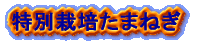 ���ʍ͔|���܂˂��̃y�[�W��